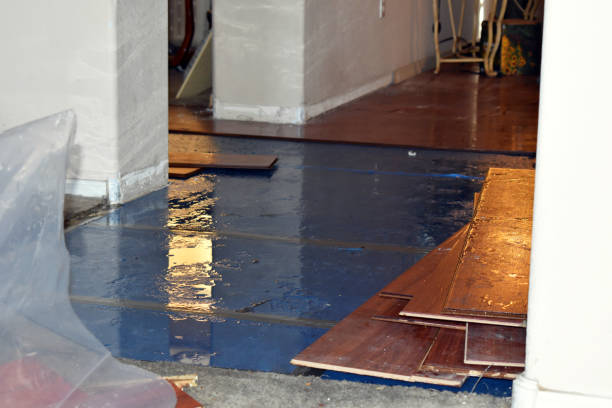 Professional Water Extraction technician working in Freeland, WA